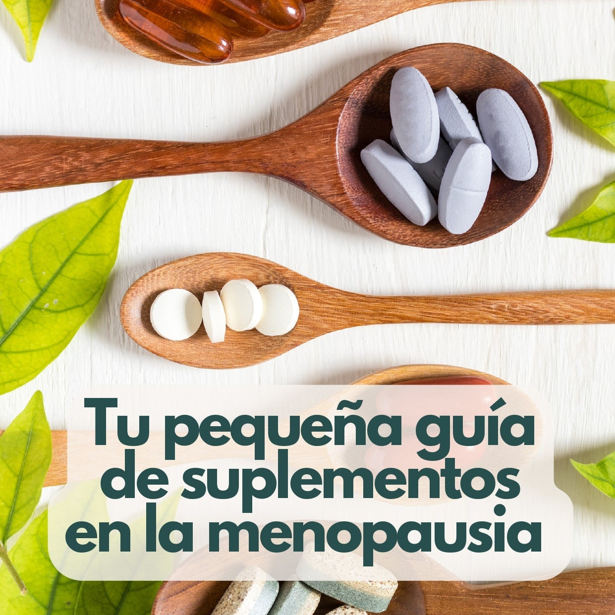 Guía de suplementos Neopausia